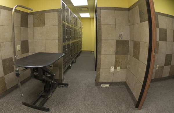 Advanced Animal Care - Image 10