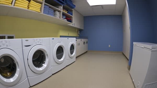 Advanced Animal Care - Image 13