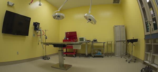 Advanced Animal Care - Image 17