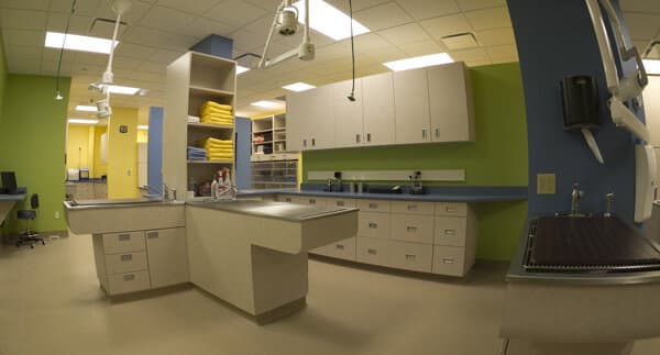 Advanced Animal Care - Image 20