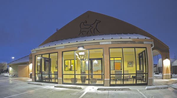 Advanced Animal Care - Image 8