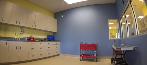 Advanced Animal Care - Image 18