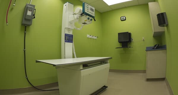 Advanced Animal Care - Image 3