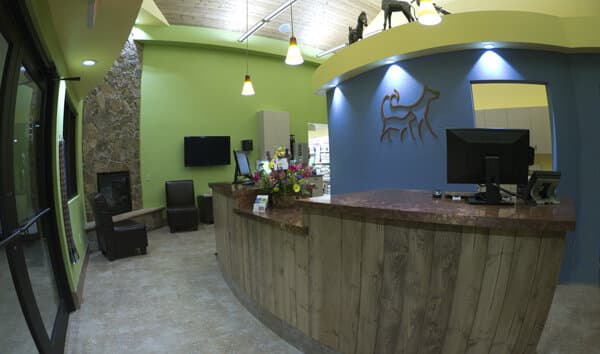 Advanced Animal Care - Image 9