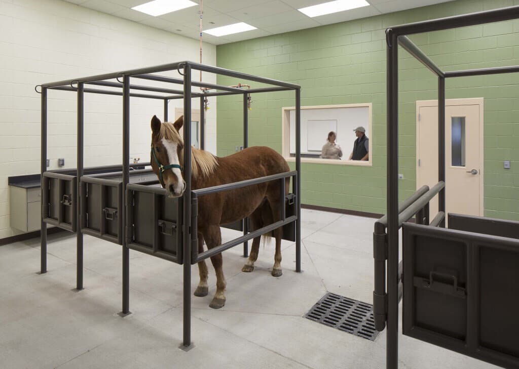 Equine Reproduction Lab @ Colorado State University - Image 8