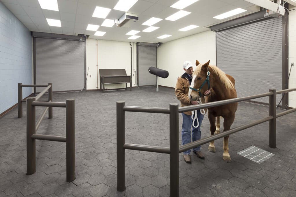 Equine Reproduction Lab @ Colorado State University - Image 7