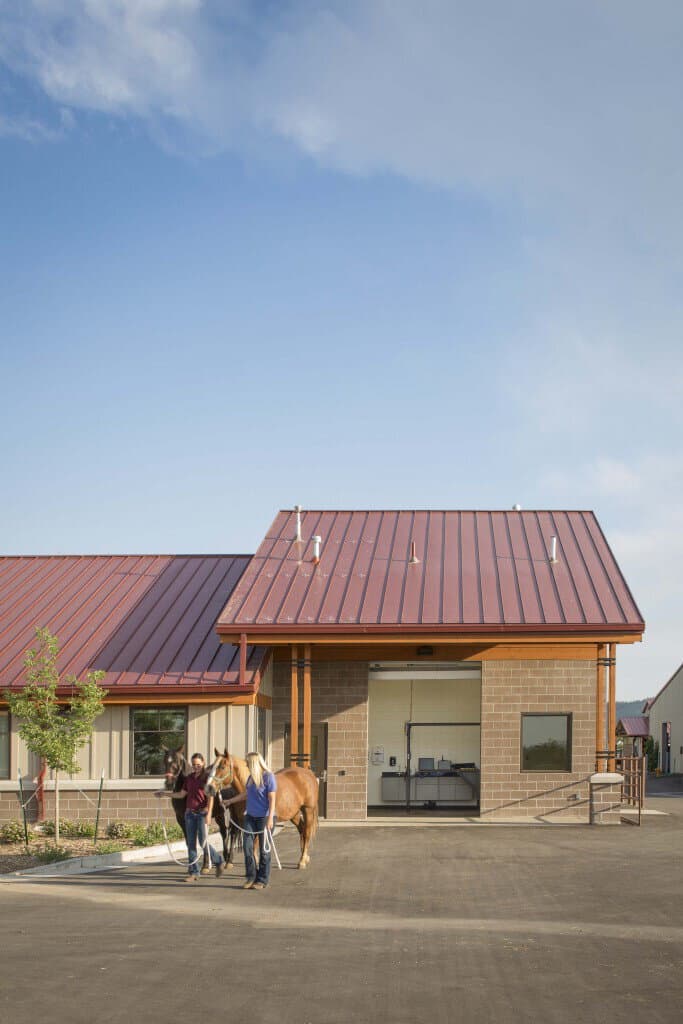 Equine Reproduction Lab @ Colorado State University - Image 3