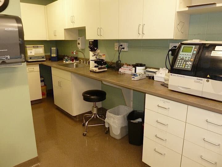 Fort Collins Veterinary Emergency Room - Image 4